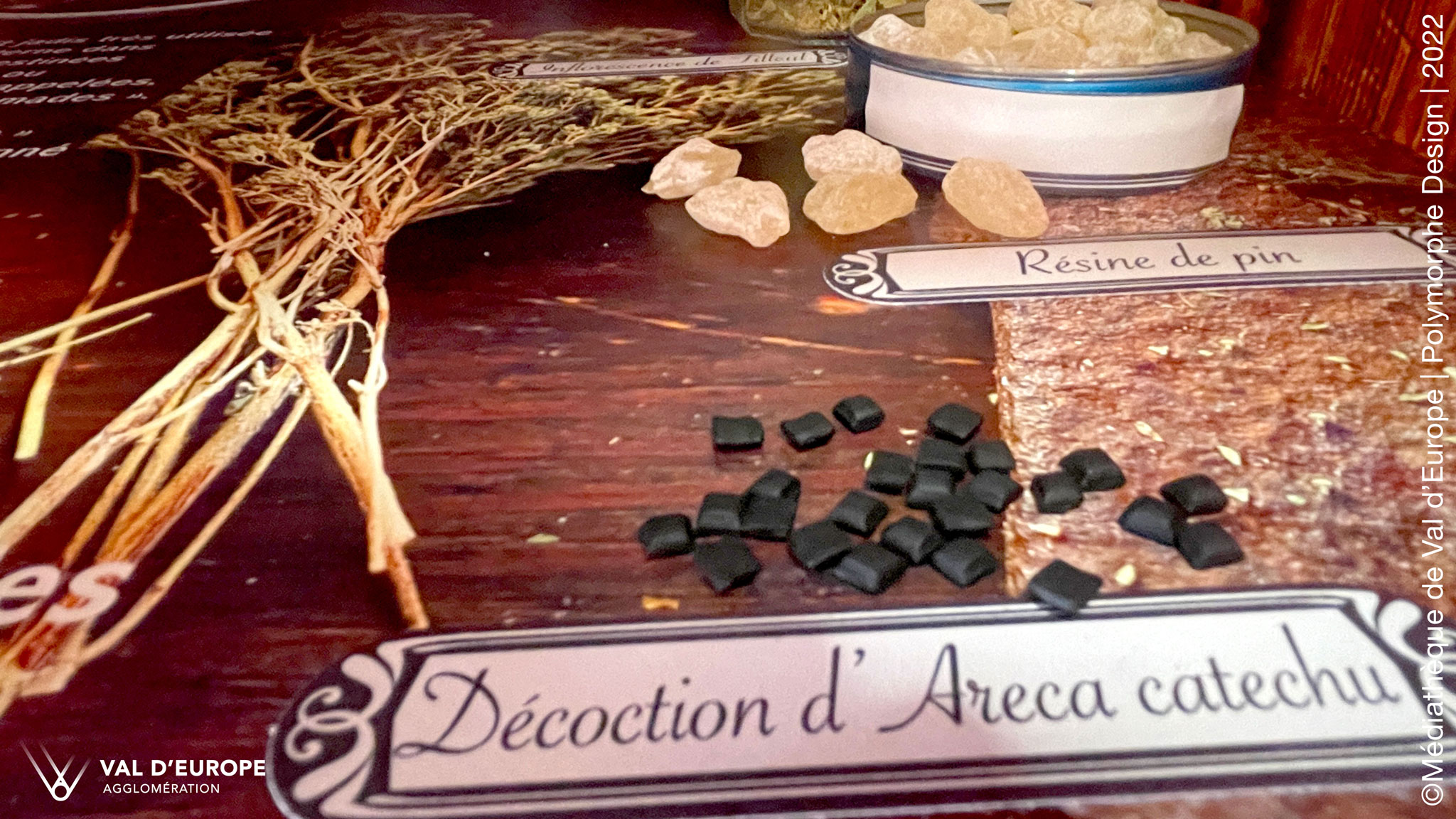 Décoction d'Areca catechu et Résine de pin, dans le mobilier d'exposition Sequoia le problème (l'arbre-apothicaire)